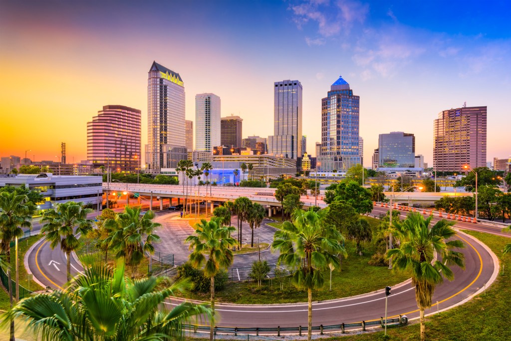 Downtown Tampa skyline at sunset with palm trees and curving road in foreground