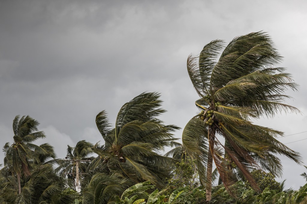 Palm trees bending in strong hurricane winds under dark storm clouds