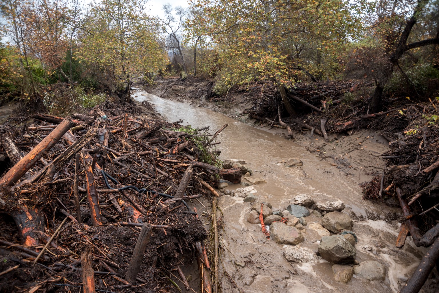 Flood debris and muddy water flowing through a forested creek after heavy rainfall